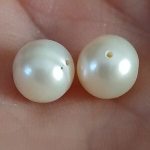 Lustrous Cream Pearls Loose Beads 9gms Each Ocean Saltwater Genuine Natural